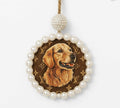 Golden Retriever Freshie