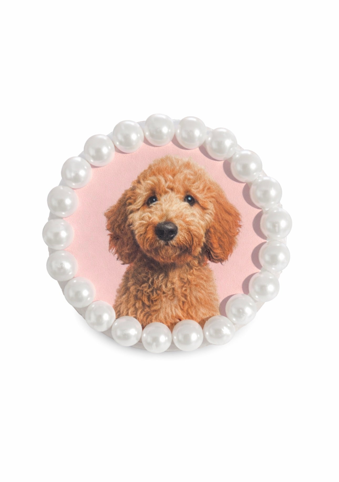 Golden Doodle freshie